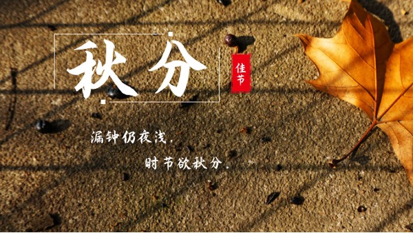 樓上樓門窗 | 白露秋分夜,一夜冷一夜，高端門窗安排上！